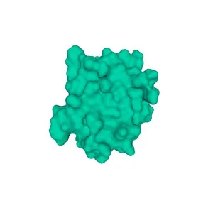 Cat Allergen Fel d 1 with Neutralizing IgG Antibody