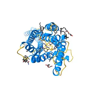 Crystal structure of serotonin 2A receptor in complex with psilocin