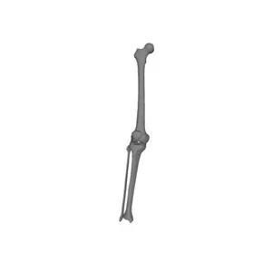 Knee, Male, Right