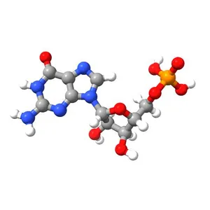Guanosine Monophosphate