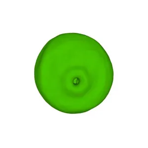 Rough-stalked meadow grass (Poa trivialis) pollen grain
