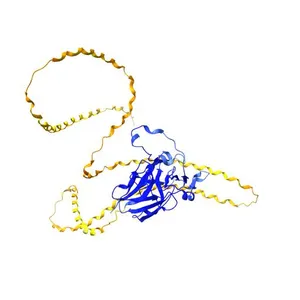 Collagen IV NC1 domain-containing protein