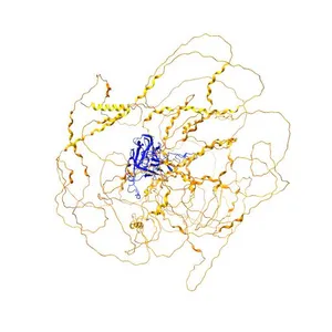 Collagen alpha-1(IV) chain