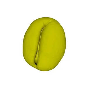 Pigweed (Polygonum aviculare) pollen grain