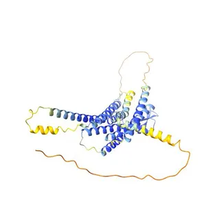 Oxytocin receptor