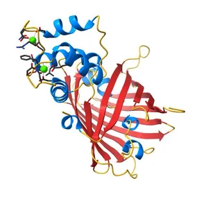 Crystal structure of the genetically-encoded green calcium sensor icBTnC2 in its calcium bound-state