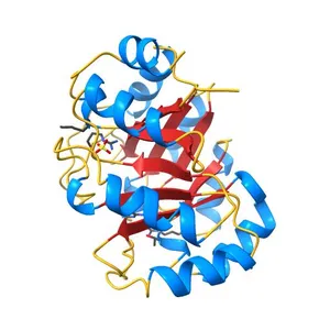 Crystal Structure Of The Full Length Bifunctional Enzyme Pria