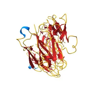 Cryo-EM structure of the Tocilizumab Fab/IL-6R complex