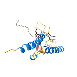 Crystal structure of Semaglutide peptide backbone in complex with the GLP-1 receptor extracellular domain