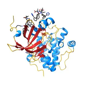 Human PDK1 kinase domain in complex with Valsartan