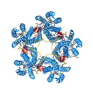 Cryo-EM structure of the microbial rhodopsin CryoR1 at pH 10.5 in detergent in the ground state