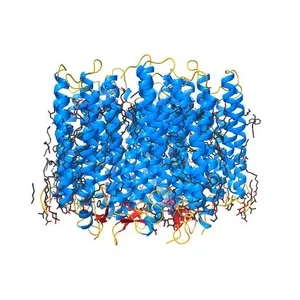 Crystal structure of the light-driven sodium pump KR2 in the pentameric form, pH 8.0