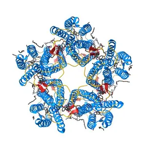 Cryo-EM structure of the microbial rhodopsin CryoR1 at pH 8.0 in detergent