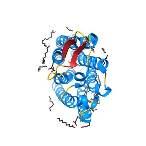 Crystal structure of the light-driven sodium pump ErNaR in the monomeric form at pH 4.6