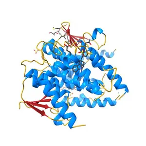 Crystal structure of glutathione transferase (TARGET EFI-501770) from leptospira interrogans
