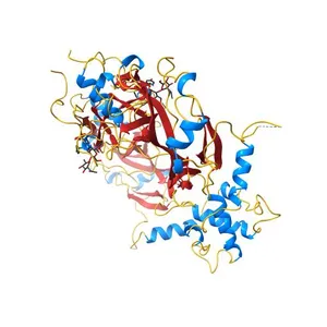 Crystal structure of Bone Morphogenetic Protein-7 (BMP-7) in complex with the secreted antagonist Noggin