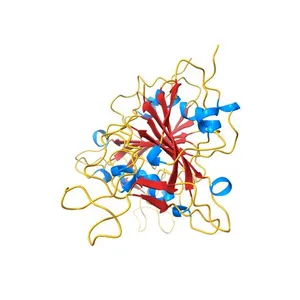 Crystal structure of SARS spike protein receptor binding domain