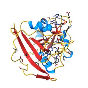 Crystal Structure of Human DHFR complexed with NADP and N10-formyl-tetrahydrofolate