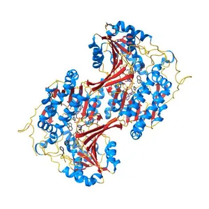 Crystal structure of ExaC, an NAD+-dependent aldehyde dehydrogenase, from Pseudomonas aeruginosa