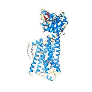 High resolution crystal structure of human B2-adrenergic G protein-coupled receptor.