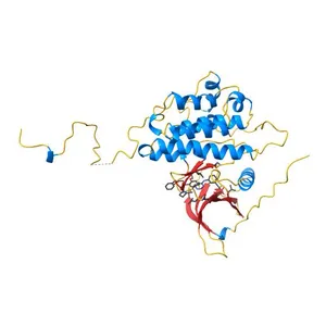 Epidermal Growth Factor Receptor tyrosine kinase domain with 4-anilinoquinazoline inhibitor erlotinib