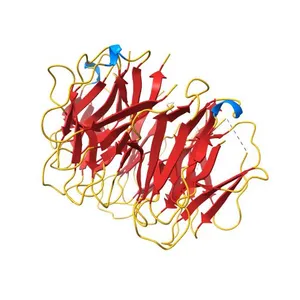 AtFKBP53 N-terminal Nucleoplasmin Domain