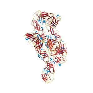 Envelope protein ASU of YFV-17D in complex with 2C9 Fab