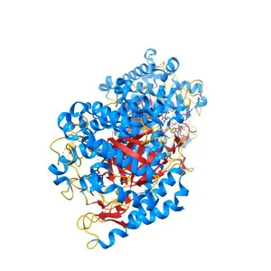 Crystal Structure of Beta-glucosidase from the Indigo-producing Plant Polygonum tinctorium