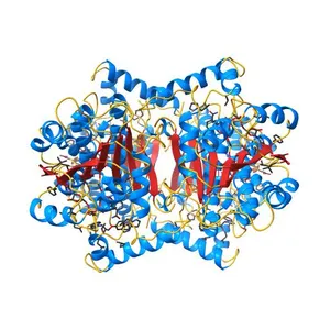 Crystal structure of InhA in complex with AP-124 inhibitor