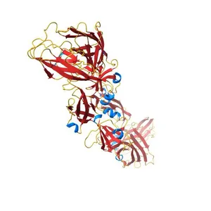 Crystal structure of YFV-China sE in prefusion state