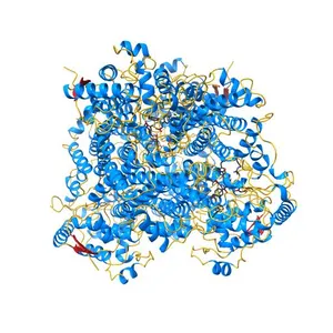 Tyrosine ammonia-lyase from Rhodobacter sphaeroides (His89Phe variant), complexed with coumaric acid