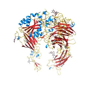 Crystal structure of alpha V beta 6 with peptide