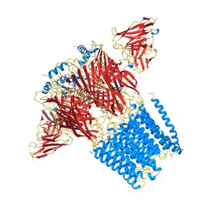 Human GABAA receptor alpha1-beta2-gamma2 subtype in complex with GABA