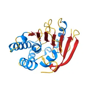 Crystal structure of a bacterial DOT1L methyl-transferase in complex with S-adenosyl homocysteine