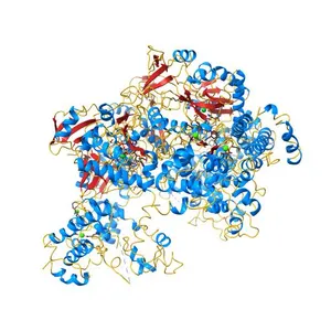 Crystal structure of the adenylyl cyclase domain of anthrax edema factor (EF) in complex with calmodulin and 3' deoxy-ATP