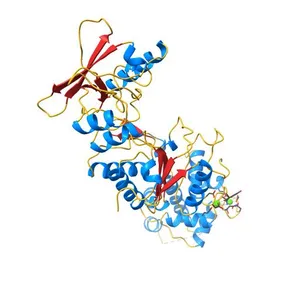 Crystal Structure analysis of the adenylyl cyclaes catalytic domain of adenylyl cyclase toxin of Bordetella pertussis in presence of c-terminal calmodulin