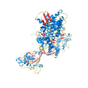 Crystal structure of methylated human leucyl-tRNA synthetase, Leu-AMS-bound form