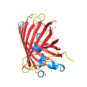 Crystal Structure of a Zn-bound Green Fluorescent Protein Biosensor
