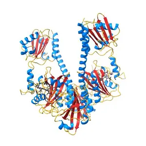 Structure of the Pfr form of a canonical phytochrome