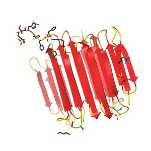Crystal Structure of Rhagium inquisitor Antifreeze Protein