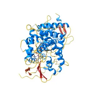 Human steroidogenic cytochrome P450 17A1 mutant N52Y with inhibitor abiraterone