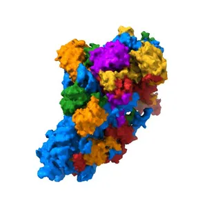 Cryo-EM structure of a late human pre-40S ribosomal subunit - State R