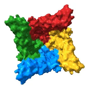Inactivated-state cryo-EM structure of human TRPV3 in presence of tetrahydrocannabivarin (THCV) in cNW30 nanodiscs