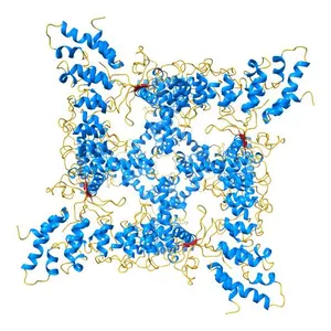Cryo-EM structure of mouse TRPV3