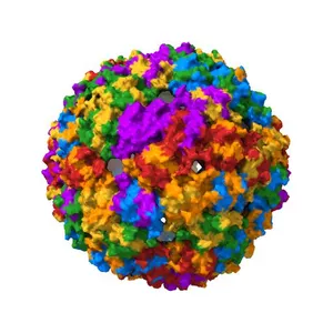 Virus-like particle of bacteriophage PQ-465