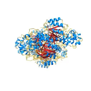 2.1 Angstrom X-ray crystal structure of lysine-2,3-aminomutase from Clostridium subterminale SB4, with Michaelis analog (L-alpha-lysine external aldimine form of pyridoxal-5'-phosphate).