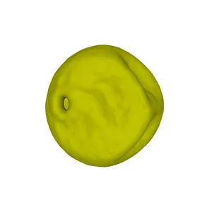 Staggers grass (Sieglingia decumbens) pollen grain: shrunken