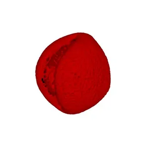 Yellow mignonette (Reseda lutea) pollen grain