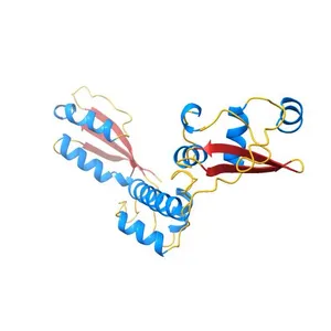 Crystal Structure of the Shwachman-Bodian-Diamond Syndrome Protein Orthologue from Archaeoglobus fulgidus