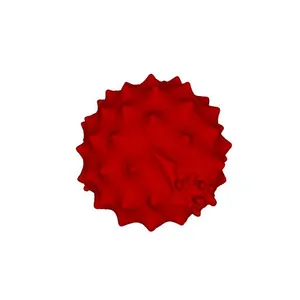 Common thistle (Cirsium vulgare) pollen grain